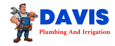 Trusted plumber in PIERZ